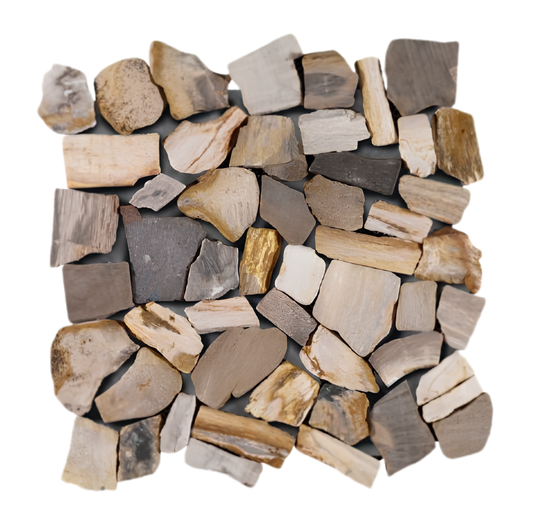 Palladiana Fossil - 30x30